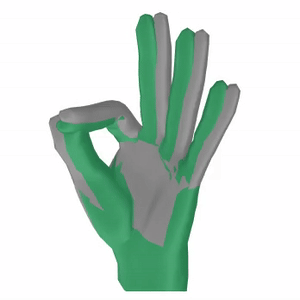 Hand/Finger Pose Estimation